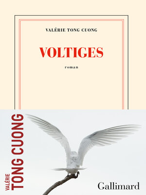 cover image of Voltiges
